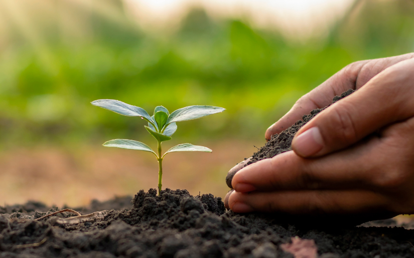 Dovetail Intern Reflects on Attending  Soil Health Summit